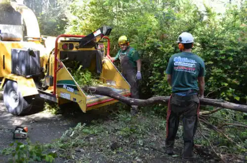 tree services Elizabeth